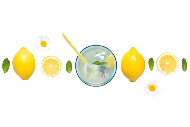 Fresh & Limonade Riviera 990 Eșelnița